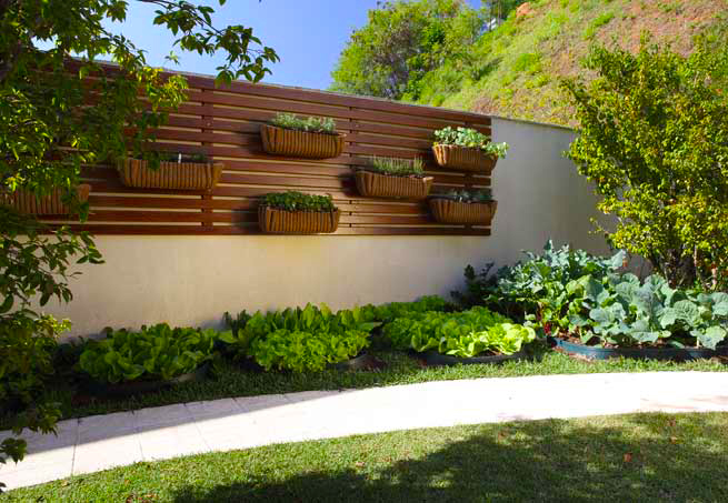 Jardim e seus benefícios