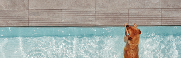 Qual o melhor revestimento para piscina?