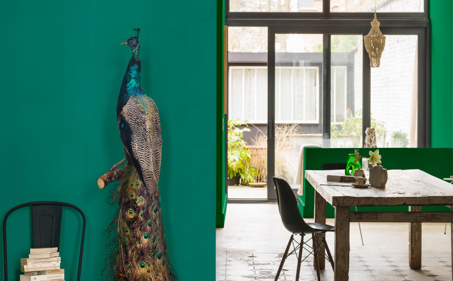 deCORação! - Verde