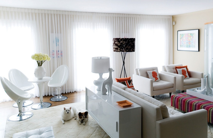 6 dicas para decorar e criar projetos de interiores com cachorros