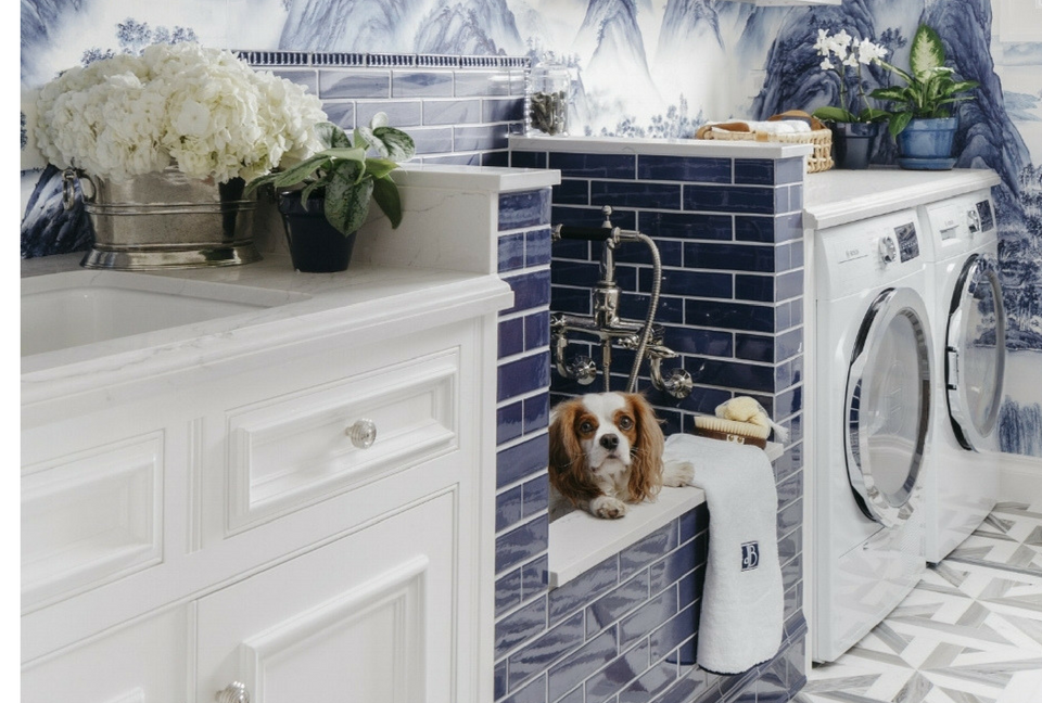 Dog shower